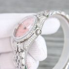 wsxc1699037451927-6-1