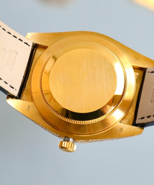 wsxc1709684842754-7 wsxc1709684842754-7