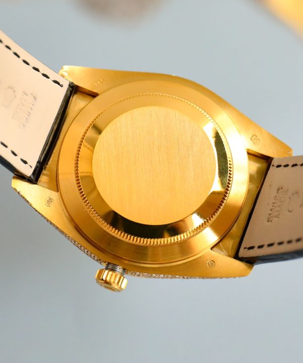 wsxc1709684879249-7 wsxc1709684879249-7